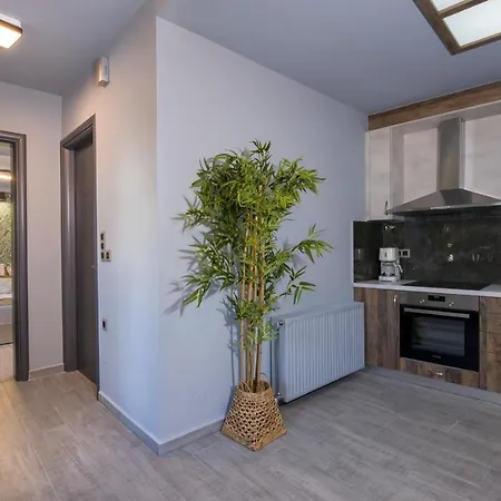 Rena'S Luxury Apartment With Free Private Parking Chania  Exterior photo
